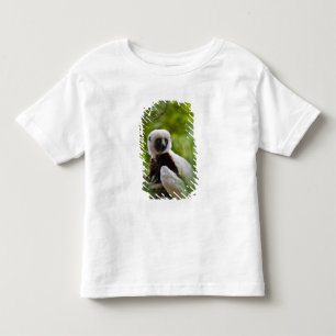 Coquerel-Sifaka im Wald 2 Kleinkind T-shirt
