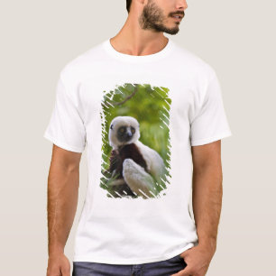 Coquerel-Sifaka im Wald 2 T-Shirt