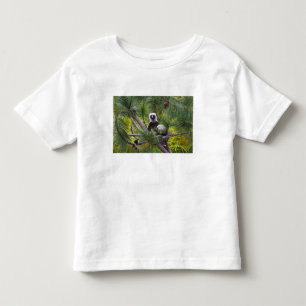 Coquerel-Sifaka im Wald Kleinkind T-shirt