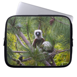 Coquerel-Sifaka im Wald Laptopschutzhülle