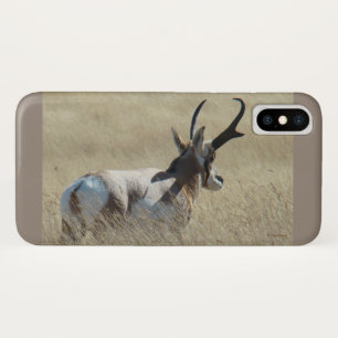 Etui iPhone Case-Mate A14 Pronghorn Antelope Sunshine Buck