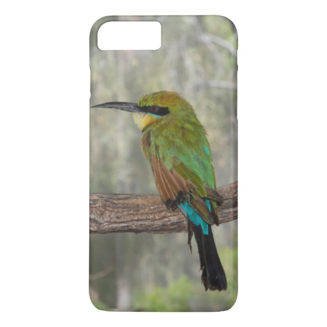 Coques Case-Mate iPhone Abeille arc-en-ciel, Australie (Dos)