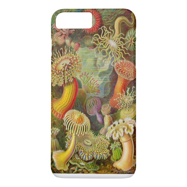 Coques Case-Mate iPhone Actinae Ocean Life d'Ernst Haeckel (Dos)