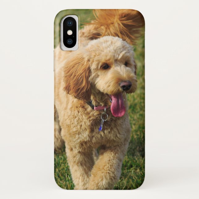 Coques Case-Mate iPhone Adorable chien doré (Dos)