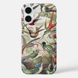 Coques iPhone 16 Affiche vintage colorée d'Ernst Haeckel sur les co