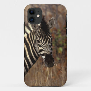 Etui iPhone Case-Mate Afrique, Afrique du Sud, Kruger NP portrait de zèb