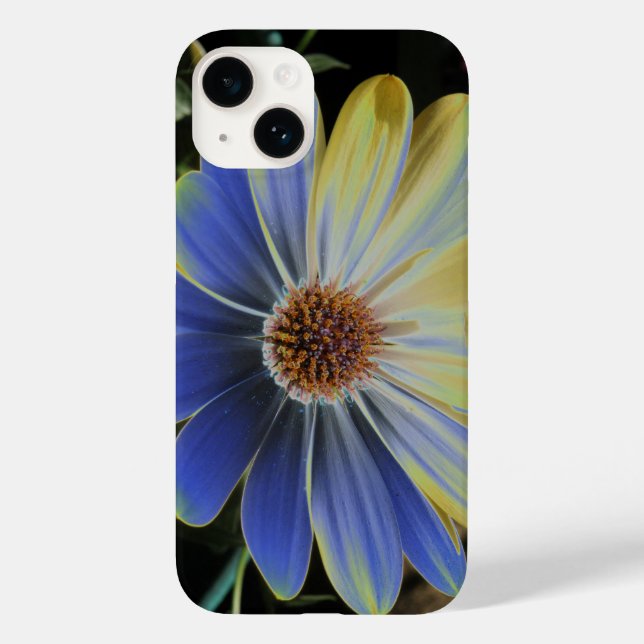 Coques Case-Mate iPhone Afrique Daisy Lapis et or (Verso)