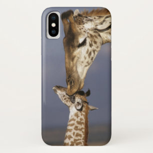Coque Case-Mate Pour iPhone Afrique, Kenya, Masai Mara. Girafes (Giraffa camel