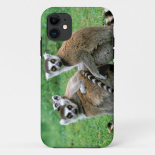 Coque iPhone 11 Afrique, Madagascar, Antananarivo, Tsimbazaza