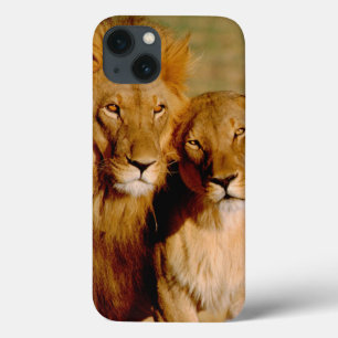 Case-Mate iPhone Case Afrique, Namibie, Okonjima. Lion & lionne