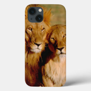 Etui iPhone 13 Afrique, Namibie, Okonjima. Lion & lionne