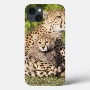 Case-Mate iPhone Case Afrique. Tanzanie. Guépard mère et petits 2
