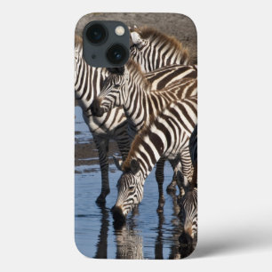 iPhone 13 Coque Afrique. Tanzanie. Zèbres buvant à Ndutu