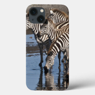 iPhone 13 Coque Afrique. Tanzanie. Zèbres buvant à Ndutu