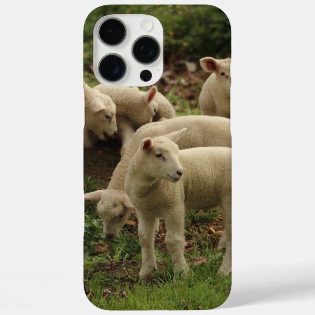 Coques Case-Mate iPhone Agneau  (Verso)