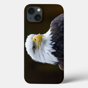 Case-Mate iPhone Case Aigle à tête blanche américaine