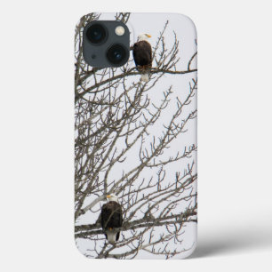 Etui iPhone Case-Mate Aigle double