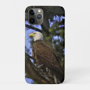 Case-Mate iPhone Case Aigle maturé
