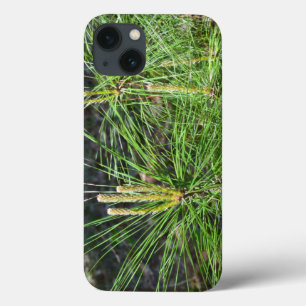 Coques Pour iPhone Aiguilles de pin par Kenneth Yoncich