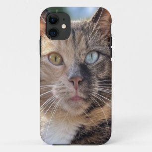 Case-Mate iPhone Case Ajouter une Personnaliser photo de chat