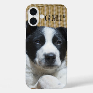 Coques iPhone 16 Plus Ajouter Votre Bordure Photo Collie Heeler Puppy Mo