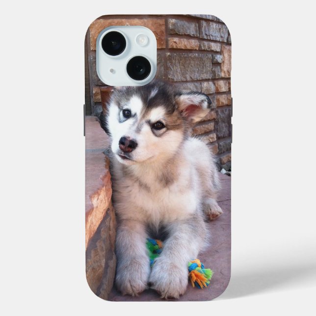 Coques Case-Mate iPhone Alaskan Malamute Puppy Head Tilt Photographie (Verso)