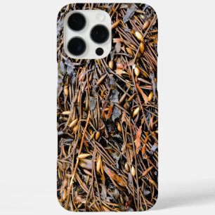 Coques iPhone 16 Pro Max Algues