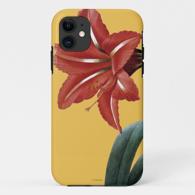 Coques Case-Mate iPhone Amaryllis barrée (Dos)