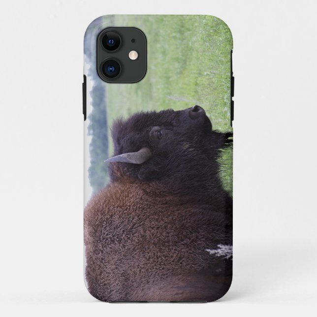 Coques Case-Mate iPhone American Plains Buffalo Bison iPhone 5 Couverture (Dos)