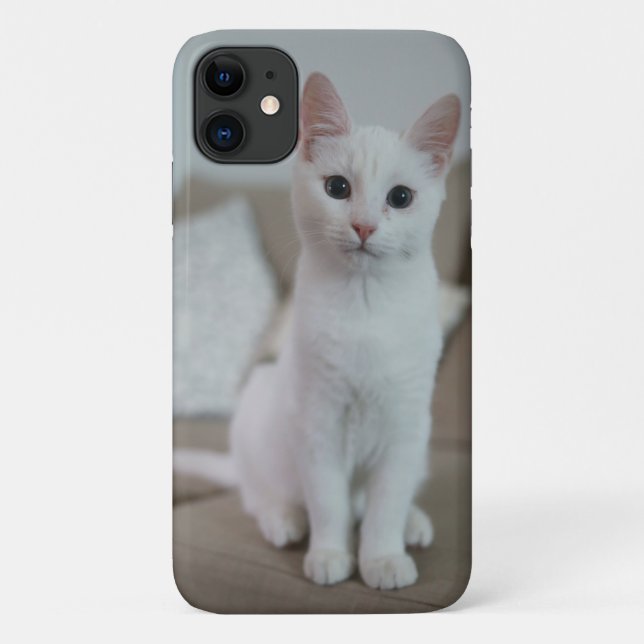 Coques Case-Mate iPhone American white shorthair (Dos)