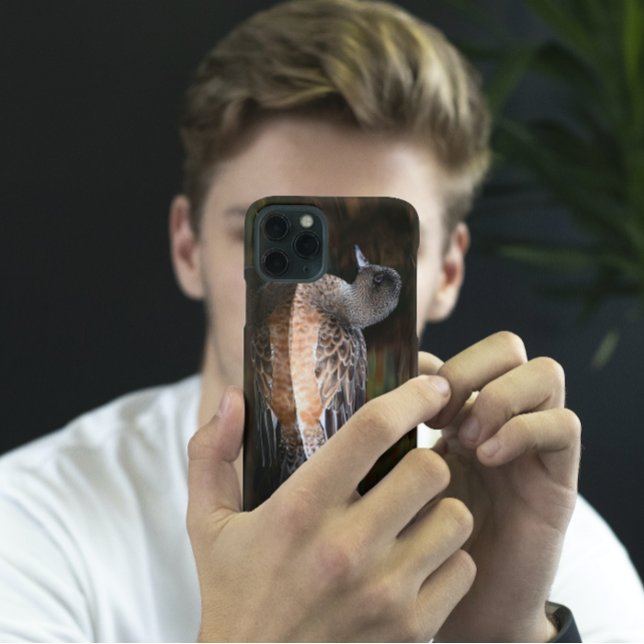 Coques Case-Mate iPhone American Wigeon sur Pond Wildlife Photo (In Situ)