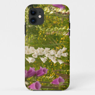 Coque Case-Mate Pour iPhone Amérique du Nord, Canada, Îles de la Reine-Charlot