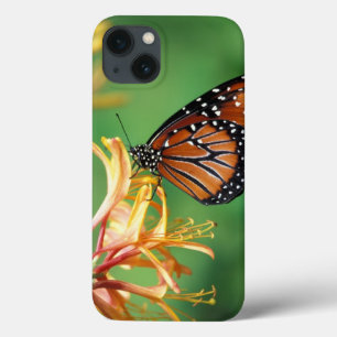 iPhone 13 Coque Amérique du Nord, États-Unis, WA, Seattle, Woodlan