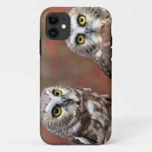 Coque iPhone 11 Amis