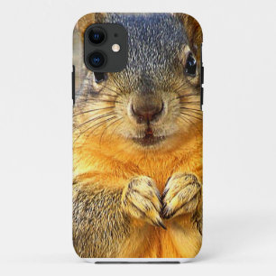 Coque iPhone 11 Amour des écureuils_