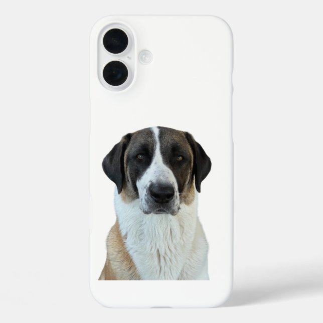 Coques Case-Mate iPhone Anatolian Shepherd iPhone/coque ipad (Verso)