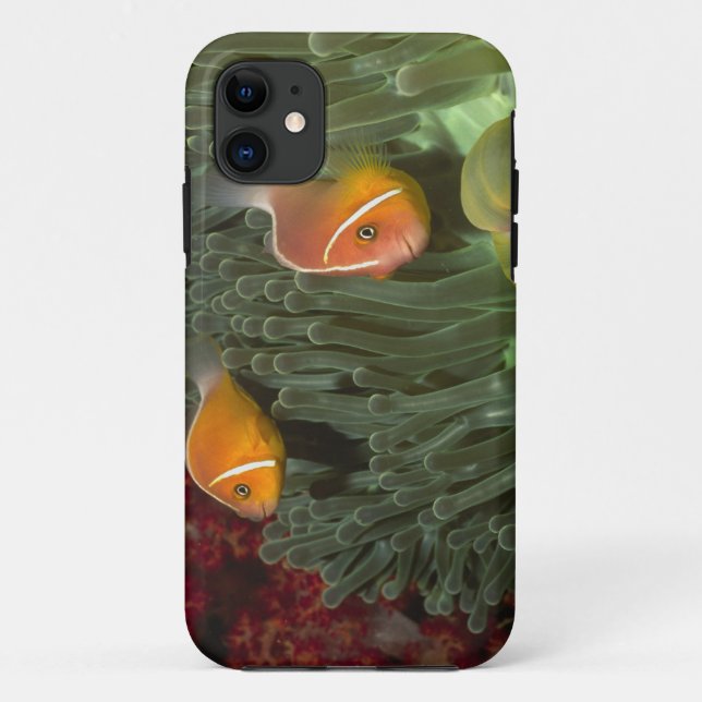 Coques Case-Mate iPhone Anemonefish rose dans l'actinie de Magnificant (Dos)