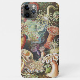 Case-Mate iPhone Case Anémones de mer, Actiniae Seeanemonen Ernst Haecke