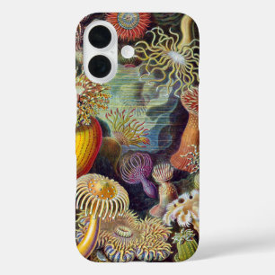 Coques iPhone 16 Anémones de mer sous-marines vintage par Ernst Hae