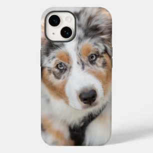 Coque Pour iPhone 14 Animaux de bébés cutest   Australian Shepherd Pupp