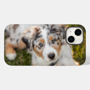 Coque Pour iPhone 14 Animaux de bébés cutest Australian Shepherd Pupp