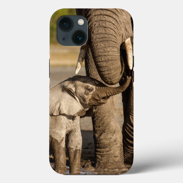 Coques Case-Mate iPhone Animaux de bébés cutest | Baby Elephant & Mama (Verso)