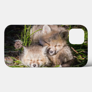 Case-Mate iPhone Case Animaux de bébés cutest   Baby Red Fox Kits Sleepi