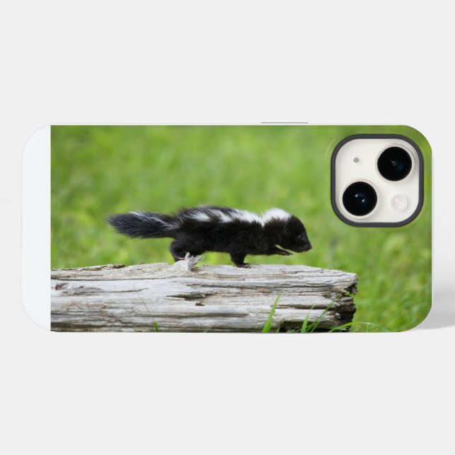 Coques Case-Mate iPhone Animaux de bébés cutest | Bébé Skunk (Verso (horizontal))