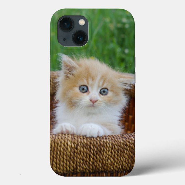 Coques Case-Mate iPhone Animaux de bébés cutest | Blue Eyed Kitten (Verso)