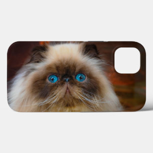 Case-Mate iPhone Case Animaux de bébés cutest Chat himalayen