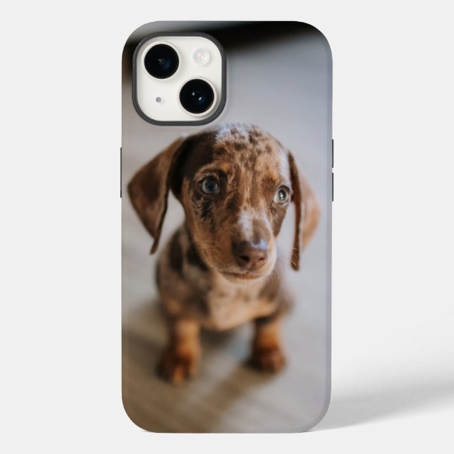 Coques Case-Mate iPhone Animaux de bébés cutest | Chiot Brown (Verso)