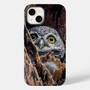Coque Pour iPhone 14 Animaux de bébés cutest   Chouette tachetée