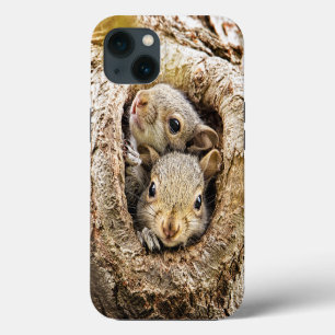 Case-Mate iPhone Case Animaux de bébés cutest Écureuils curieux