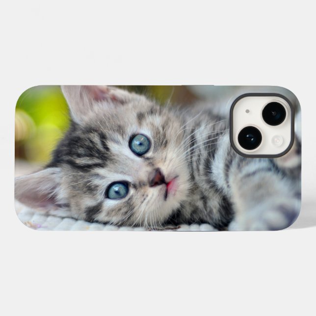 Coques Case-Mate iPhone Animaux de bébés cutest | Kitten aux yeux bleus (Verso (horizontal))